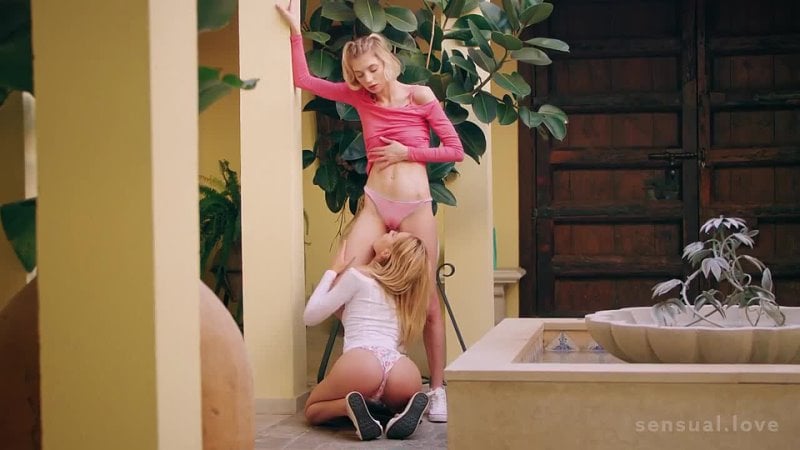 Sensuallove kelly collins molly devon restless blondes mp4